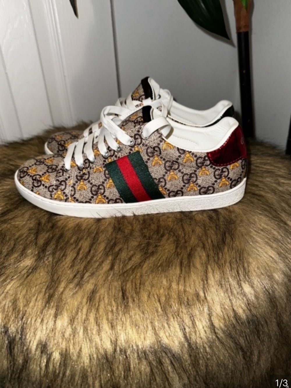 Gucci Signature GG Canvas Sneakers with Red & Green Web